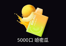 【哩亞一次性電子煙 拋棄式5000口】ilia拋棄式電子菸5